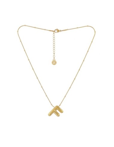 Collar Essentials Inicial F Dorado Anartxy