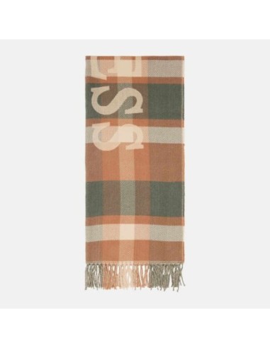 Bufanda de hombre Scarf Jacquard Guess Marron y Verde