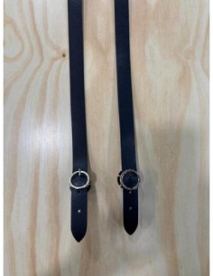 Asa Larga O bag Hebilla Ecopiel Azul / Platal