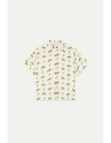 Camisa con estampado Elefante Compañia Fantástica