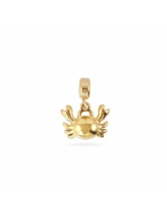 Charms Crab Anartxy dorado